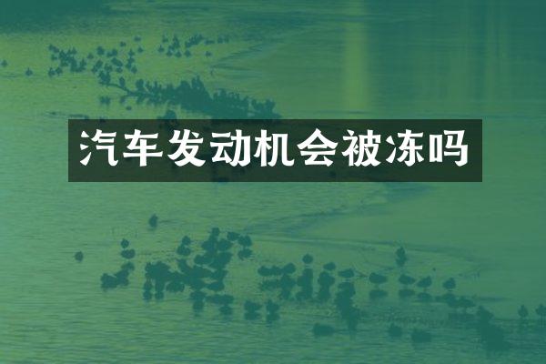 汽车发动机会被冻吗