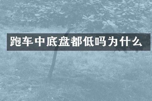 跑车中底盘都低吗为什么