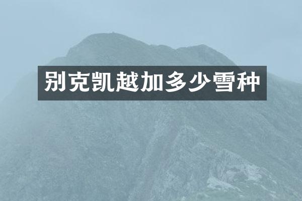 别克凯越加多少雪种
