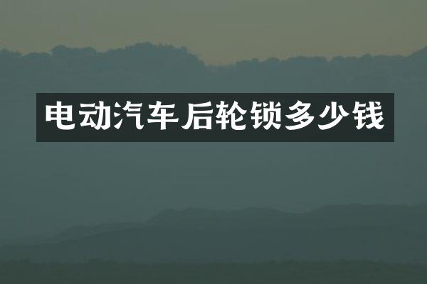 电动汽车后轮锁多少钱