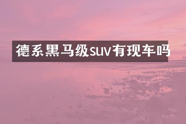 德系黑马级suv有现车吗