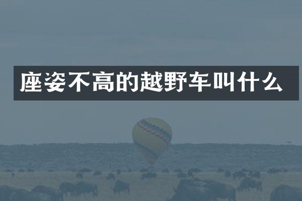 座姿不高的越野车叫什么
