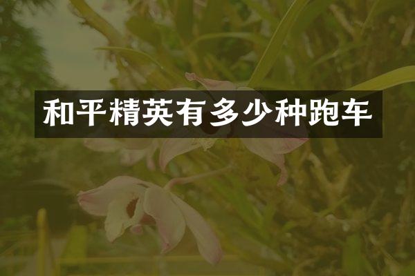 和平精英有多少种跑车