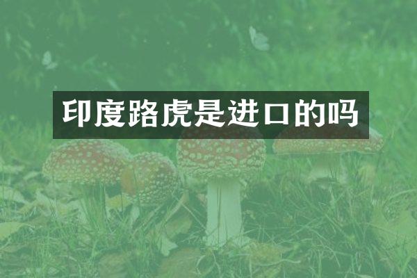 印度路虎是进口的吗