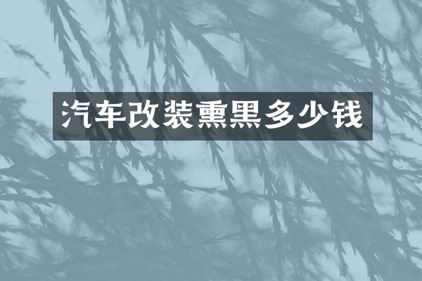汽车改装熏黑多少钱