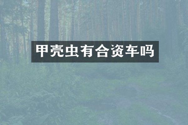 甲壳虫有合资车吗