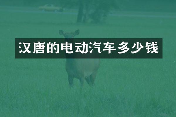汉唐的电动汽车多少钱