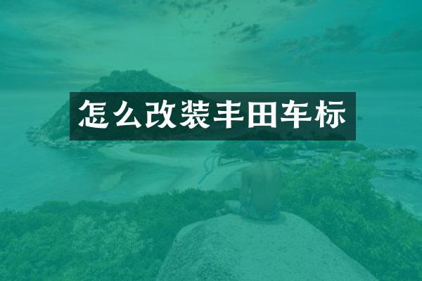 怎么改装丰田车标