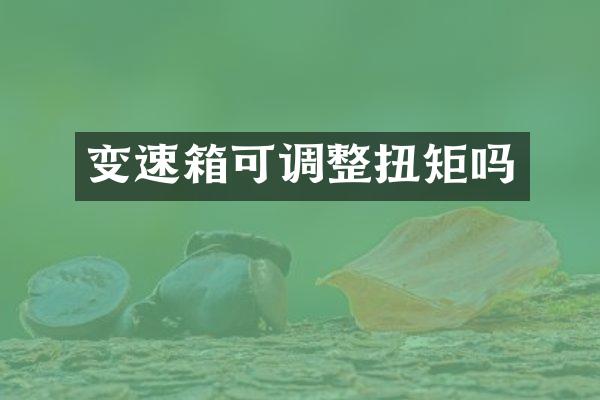 变速箱可调整扭矩吗
