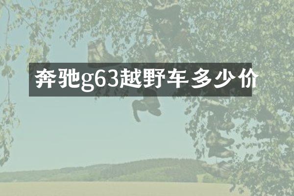 奔驰g63越野车多少价