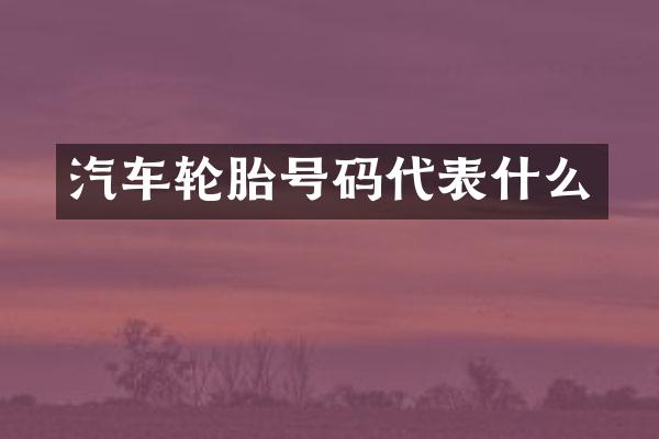 汽车轮胎号码代表什么