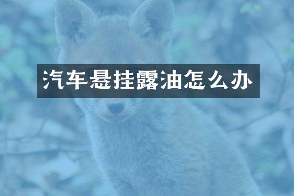汽车悬挂露油怎么办