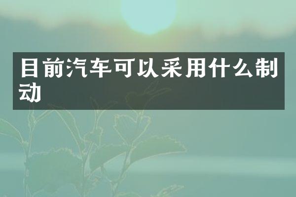 目前汽车可以采用什么制动