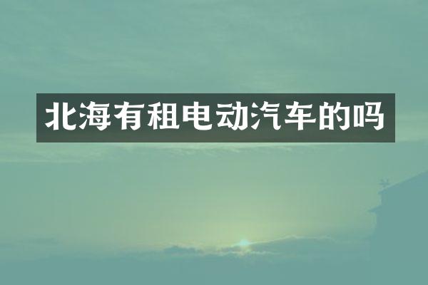 北海有租电动汽车的吗