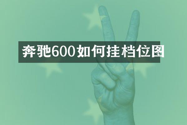 奔驰600如何挂档位图