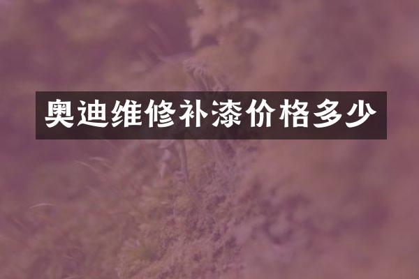 奥迪维修补漆价格多少