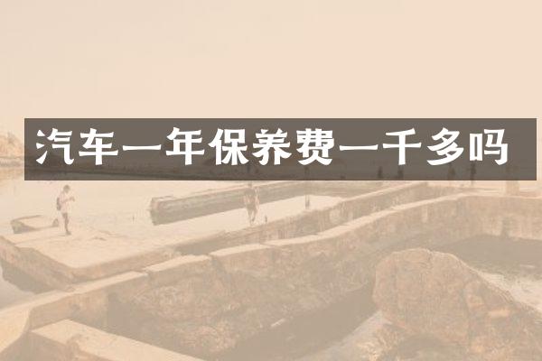 汽车一年保养费一千多吗