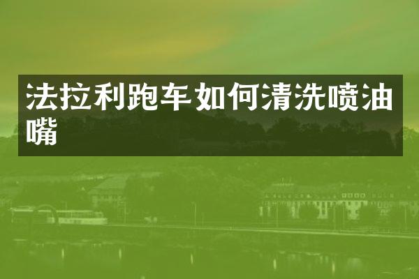 法拉利跑车如何清洗喷油嘴