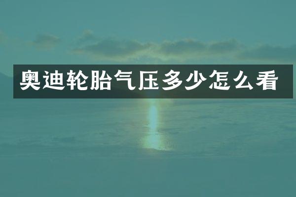 奥迪轮胎气压多少怎么看