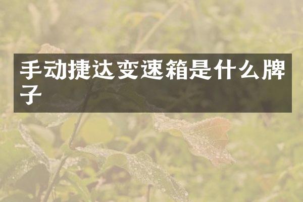手动捷达变速箱是什么牌子