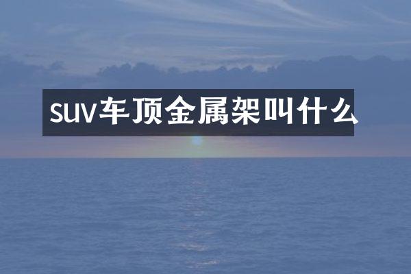 suv车顶金属架叫什么