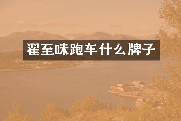 翟至味跑车什么牌子