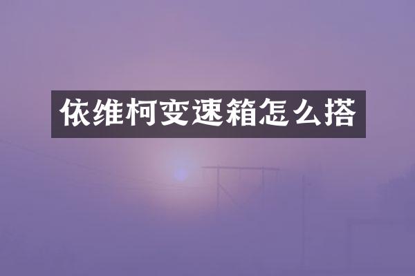 依维柯变速箱怎么搭