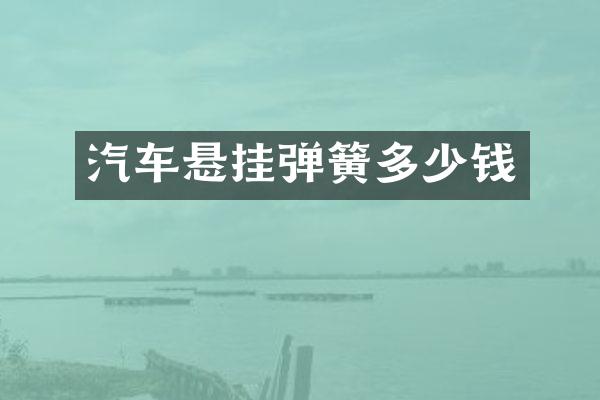 汽车悬挂弹簧多少钱