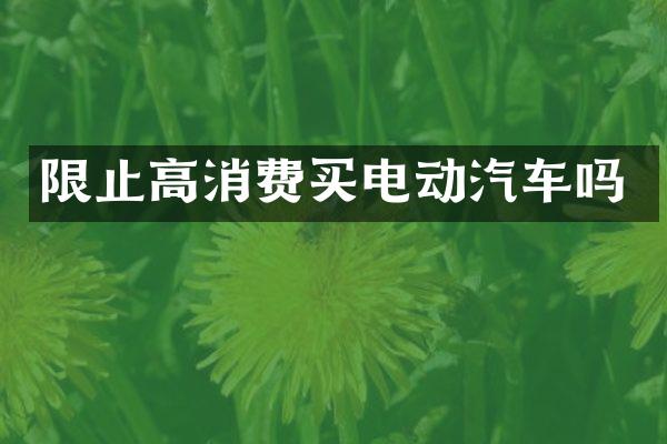 限止高消费买电动汽车吗
