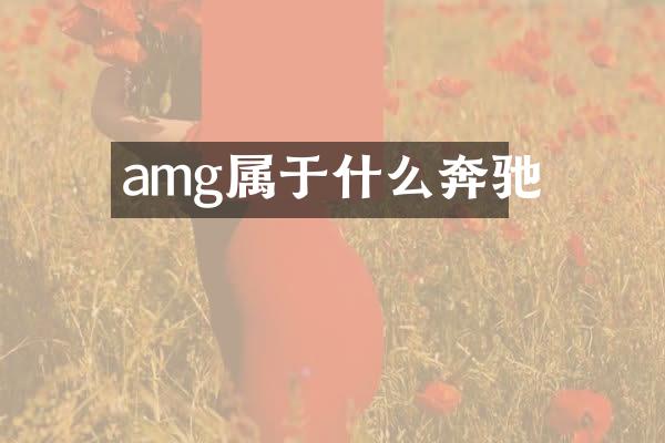 amg属于什么奔驰