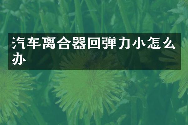 汽车离合器回弹力小怎么办