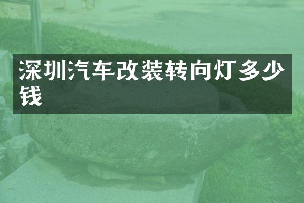 深圳汽车改装转向灯多少钱