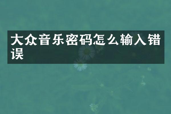 大众音乐密码怎么输入错误