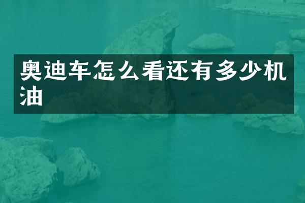 奥迪车怎么看还有多少机油