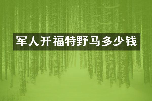 军人开福特野马多少钱