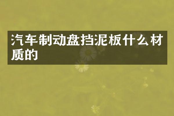 汽车制动盘挡泥板什么材质的
