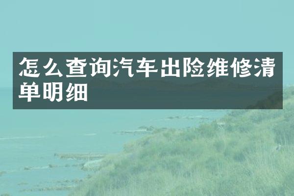 怎么查询汽车出险维修清单明细
