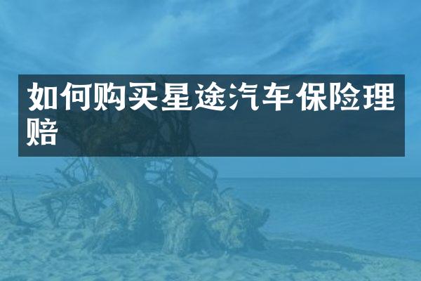 如何购买星途汽车保险理赔