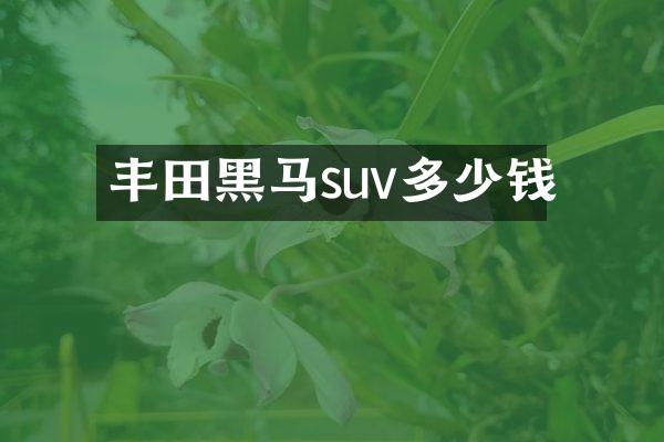 丰田黑马suv多少钱