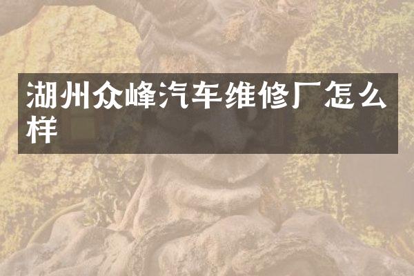 湖州众峰汽车维修厂怎么样