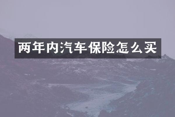 两年内汽车保险怎么买
