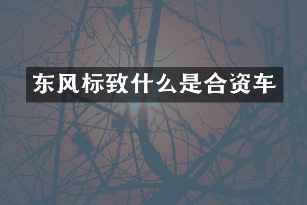 东风标致什么是合资车