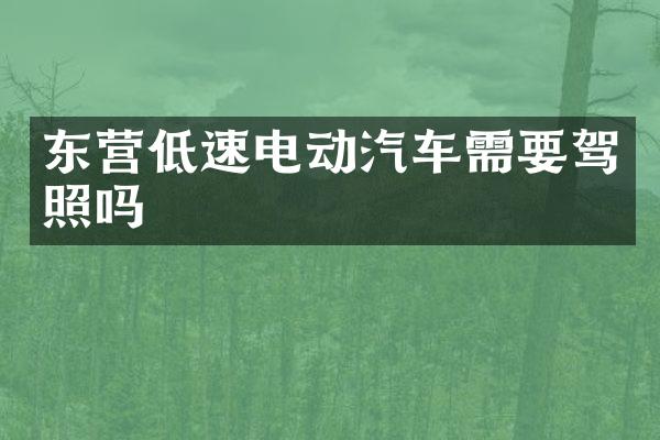 东营低速电动汽车需要驾照吗