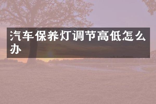 汽车保养灯调节高低怎么办