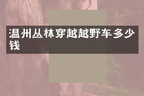 温州丛林穿越越野车多少钱
