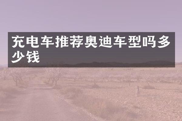 充电车推荐奥迪车型吗多少钱