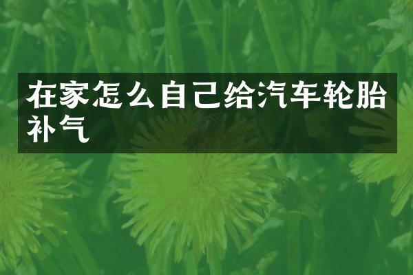 在家怎么自己给汽车轮胎补气