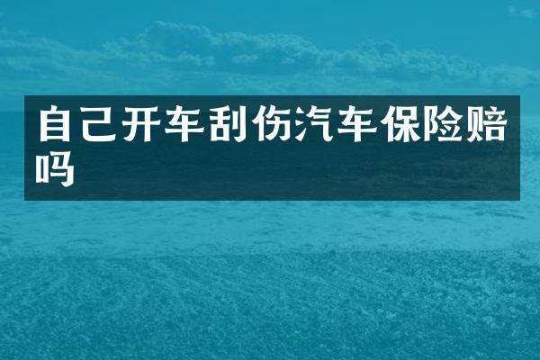 自己开车刮伤汽车保险赔吗