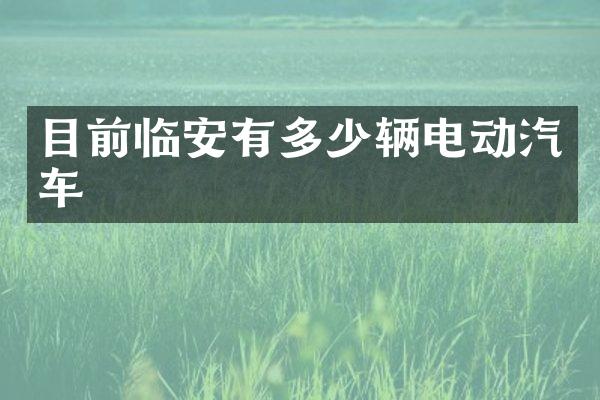 目前临安有多少辆电动汽车