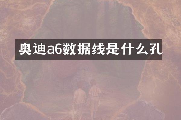 奥迪a6数据线是什么孔